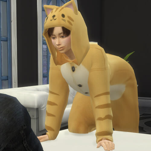 猫の日にトラさん情報盛りだくさん!大ヒット御礼舞台挨拶決定嬉しい~(*ˊ▽ ` *)