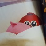 りかしゃんからぴーまう写真集が届きましたぁ(*ノД`*)♡♡